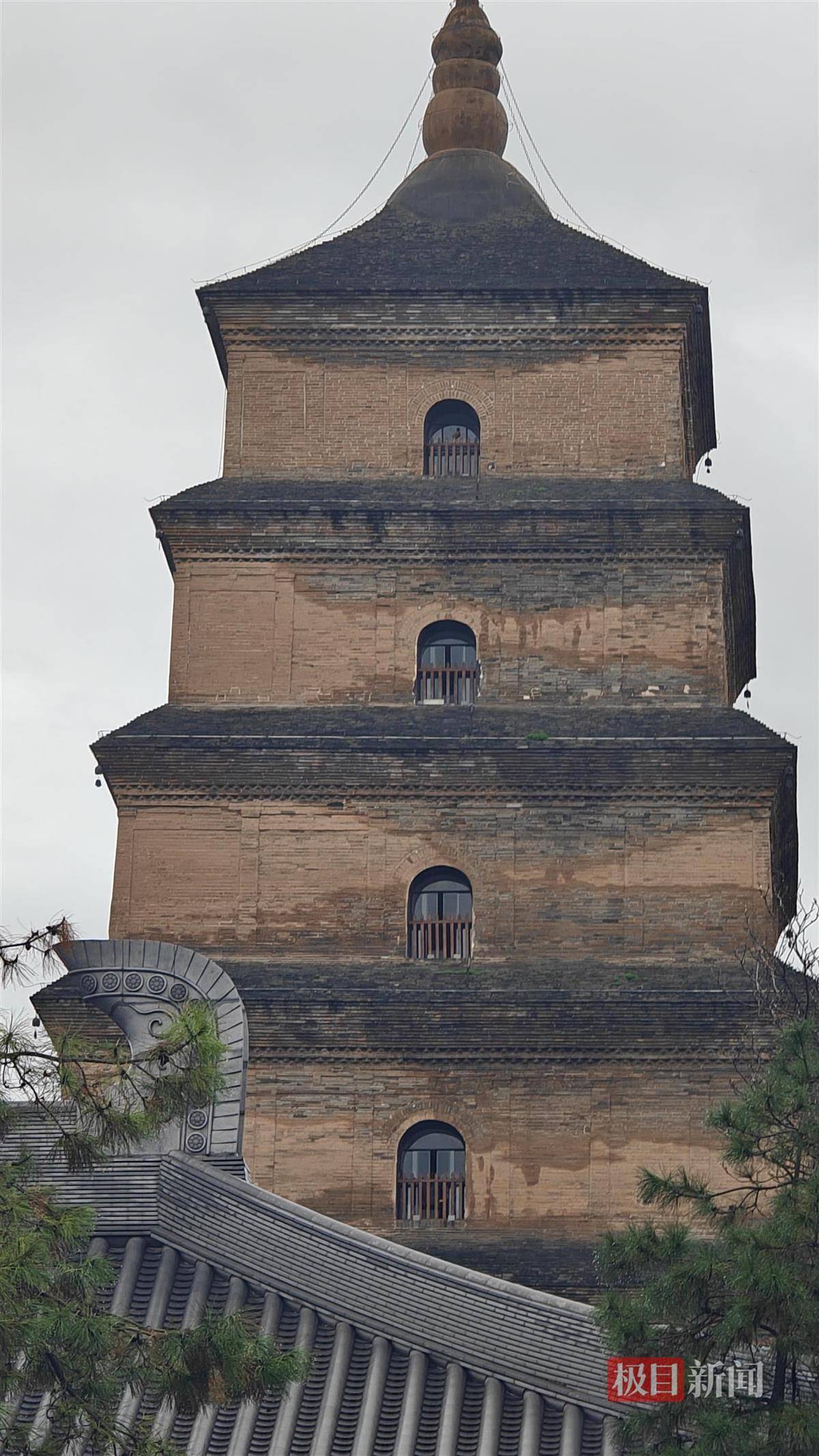 怎么开皇冠信用
_西安连续一个多月降雨遍地长蘑菇怎么开皇冠信用
,大雁塔受潮,城墙布满青苔,气象局解释成因