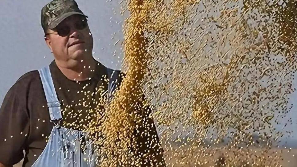 皇冠信用网代理平台
_200万吨大豆烂港！巴西主动降价皇冠信用网代理平台
，中国转头下单三船美国大豆，巴西自食其果了