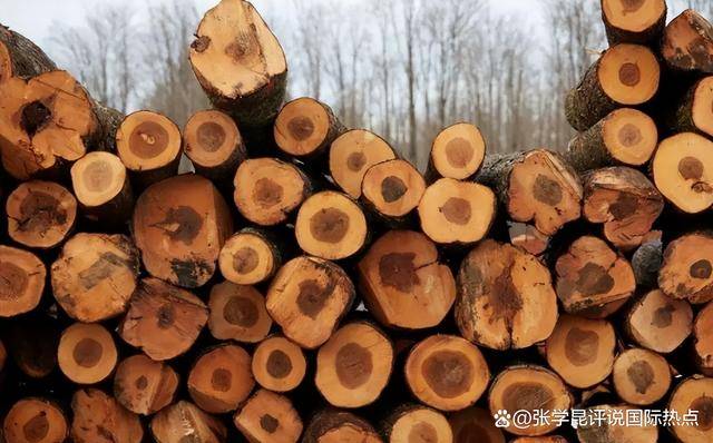 皇冠信用網开号
_48小时内皇冠信用網开号
,中方连下3令,特朗普别高兴太早,承诺一个都不能少