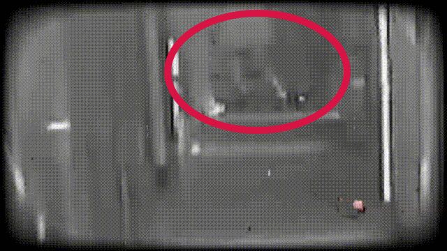 皇冠会员如何申请_离奇凶案！上海一“恋爱脑”宅男绝望皇冠会员如何申请，掐住已婚女友脖子……法院最新判决