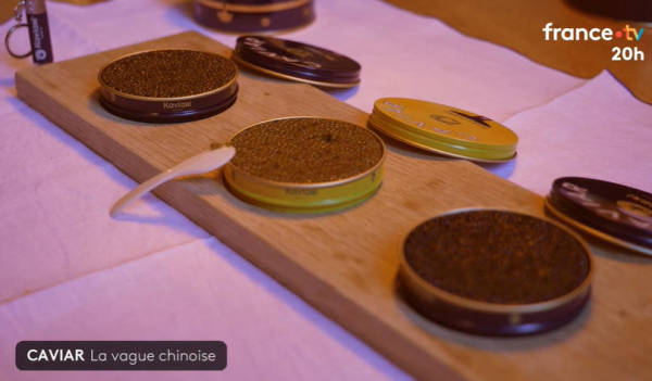 皇冠信用网会员注册网址_“在法国皇冠信用网会员注册网址,可以毫无顾虑地说,这些鱼子酱产自中国”