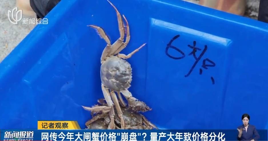 皇冠登3代理申请_价格“崩了”皇冠登3代理申请，有些跌至5元一只！这种美味已大量上市，老板：再等等，更肥更便宜……